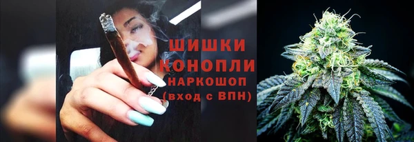 сатива Кинешма