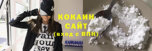 сатива Кинешма