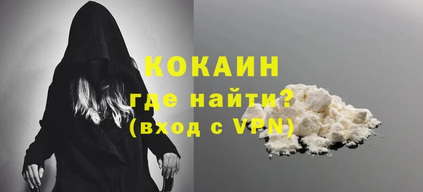 сатива Кинешма