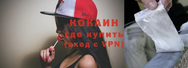 сатива Кинешма