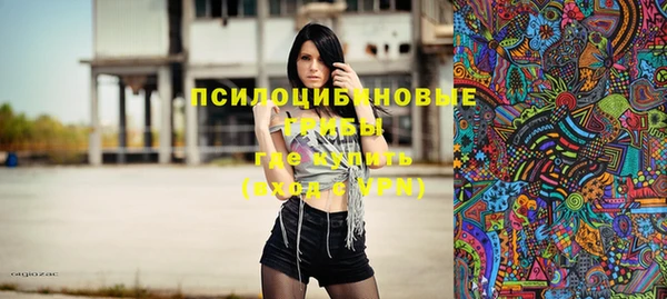 сатива Кинешма