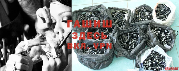 сатива Кинешма