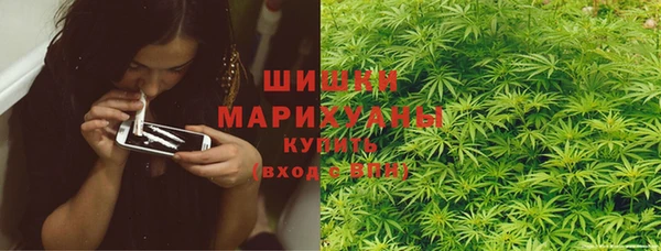 сатива Кинешма