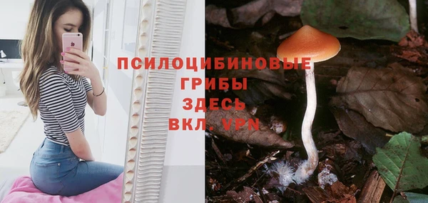 сатива Кинешма
