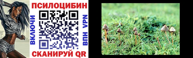 Галлюциногенные грибы Cubensis  Купить где  Борисоглебск 